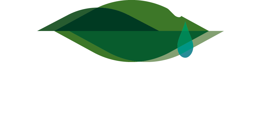 TEARGENE online